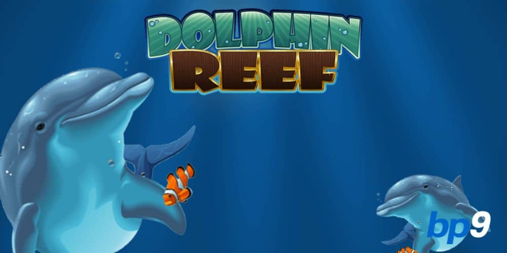 Dolphin Reef Slot Review